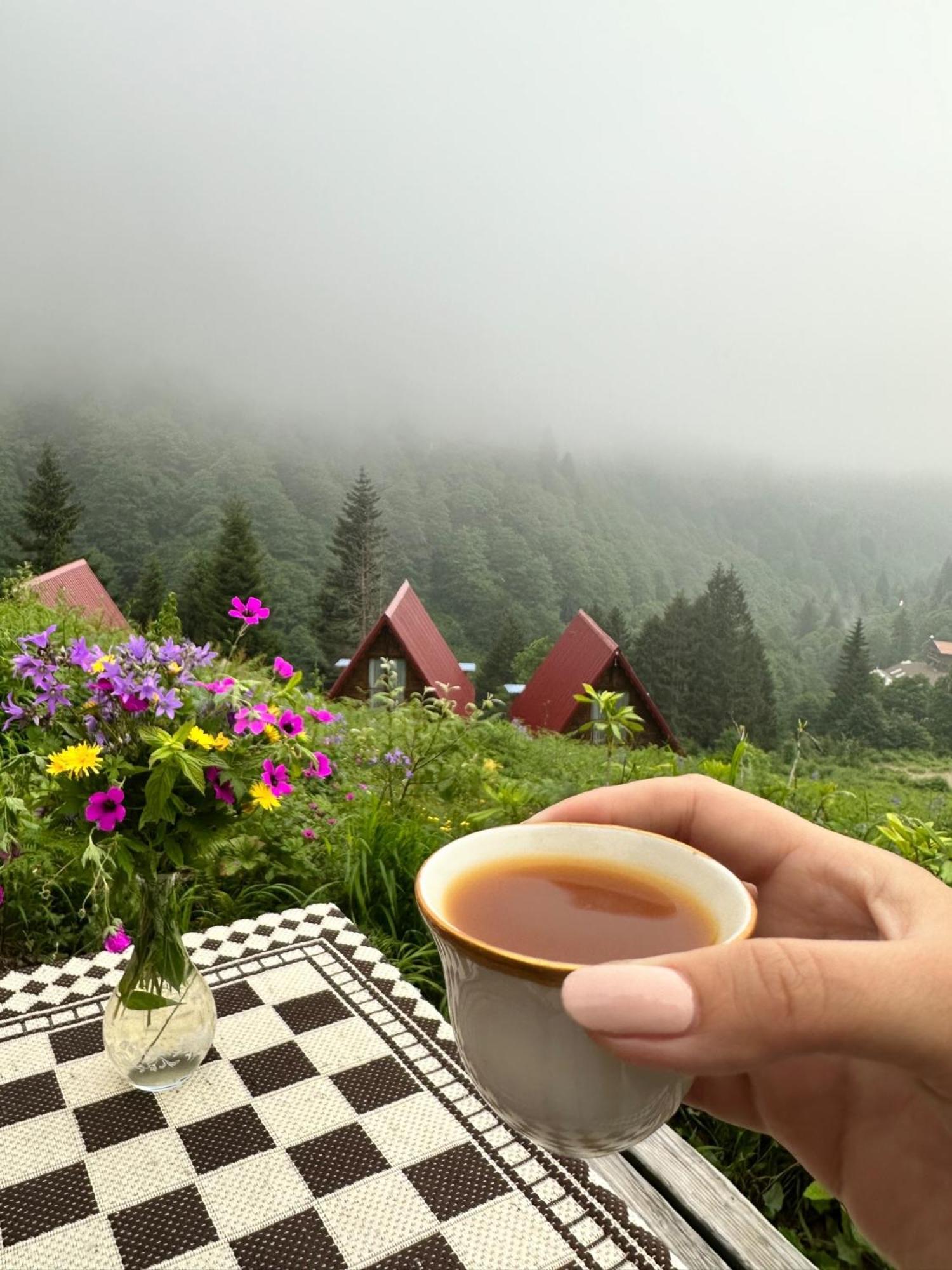 Ayder Villa Gencal Exteriér fotografie