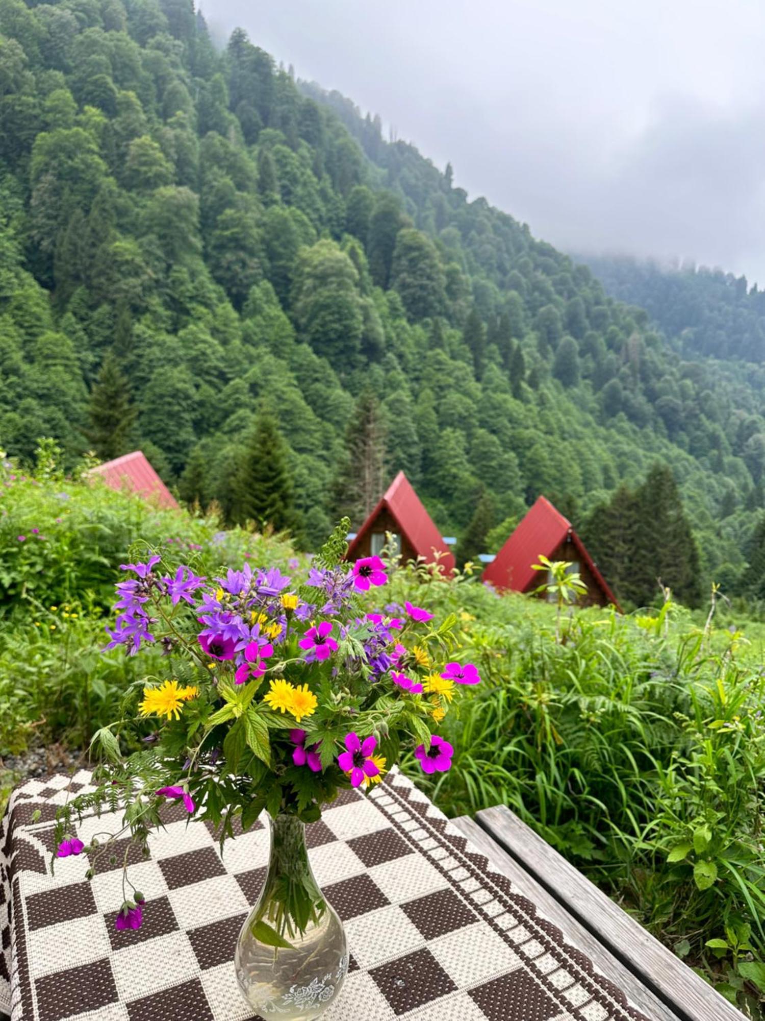 Ayder Villa Gencal Exteriér fotografie