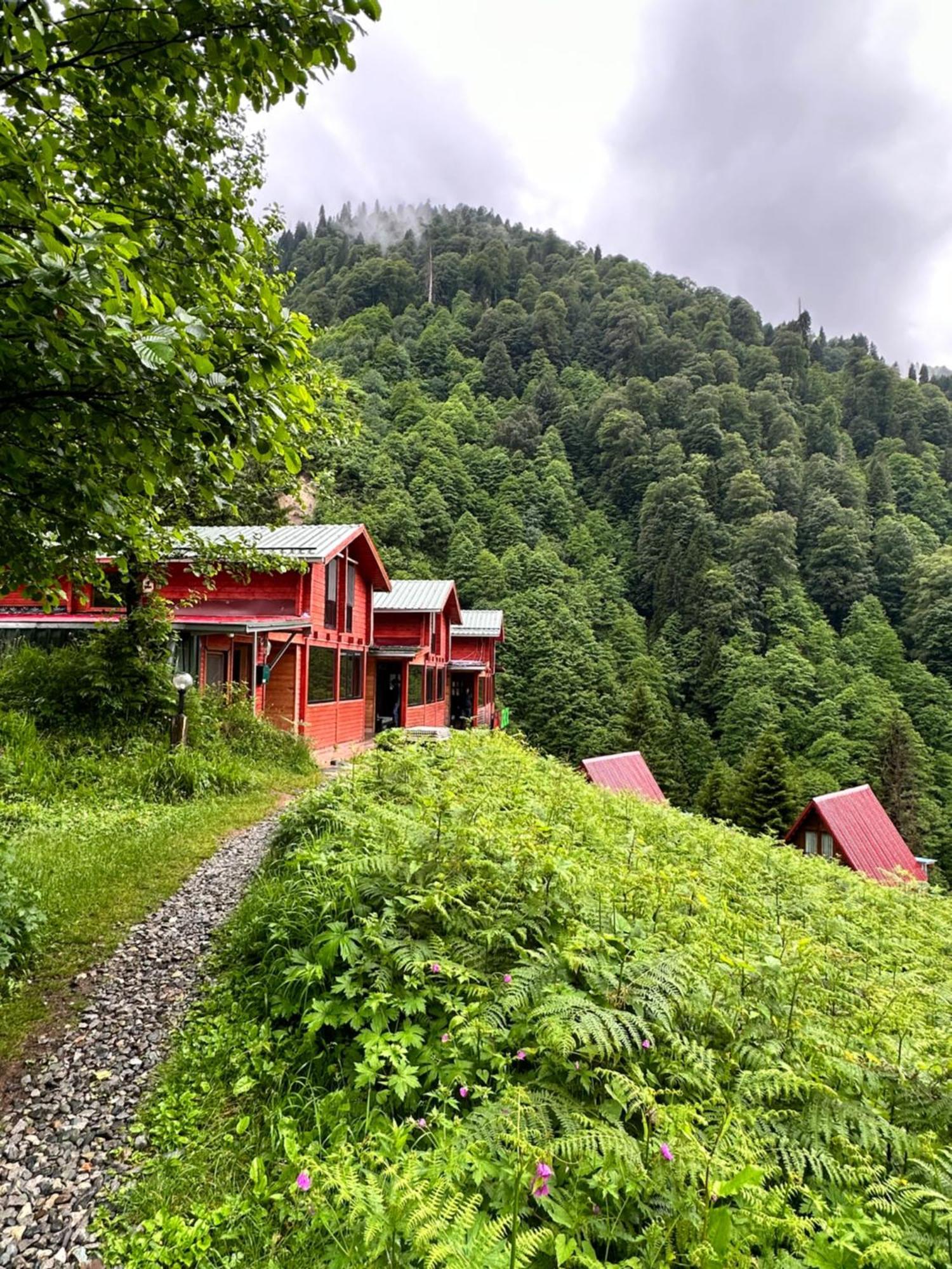 Ayder Villa Gencal Exteriér fotografie