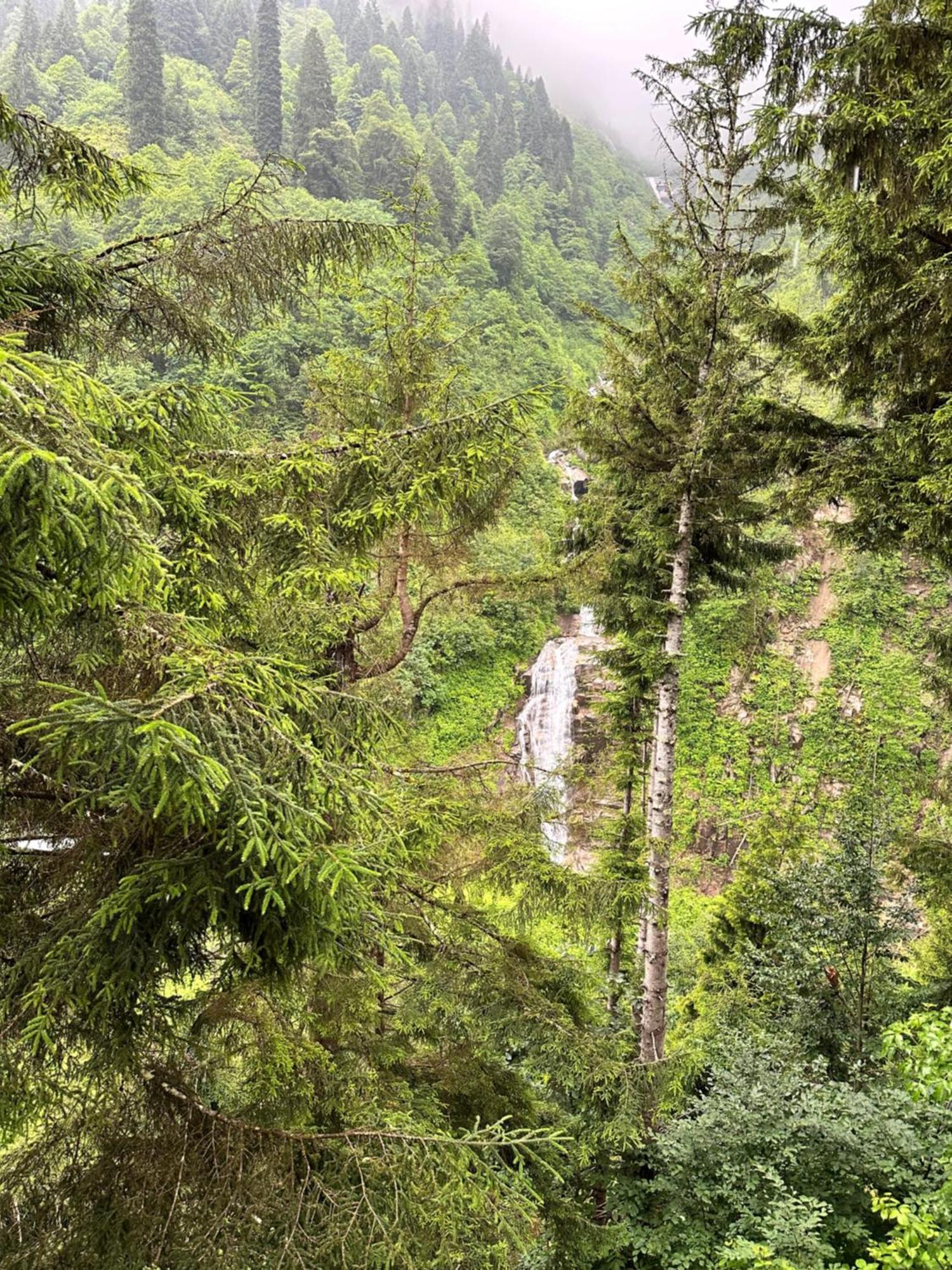 Ayder Villa Gencal Exteriér fotografie
