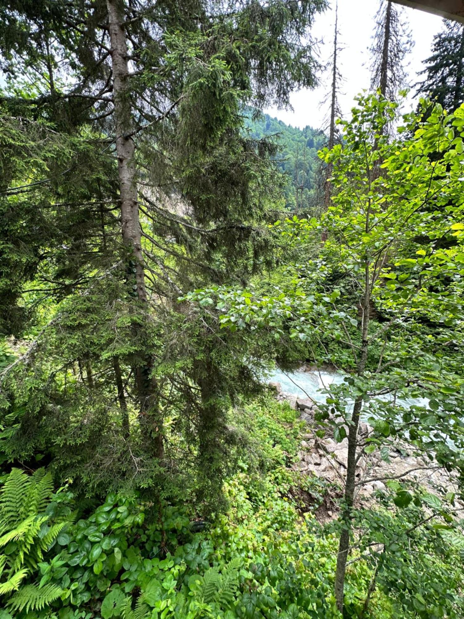 Ayder Villa Gencal Exteriér fotografie
