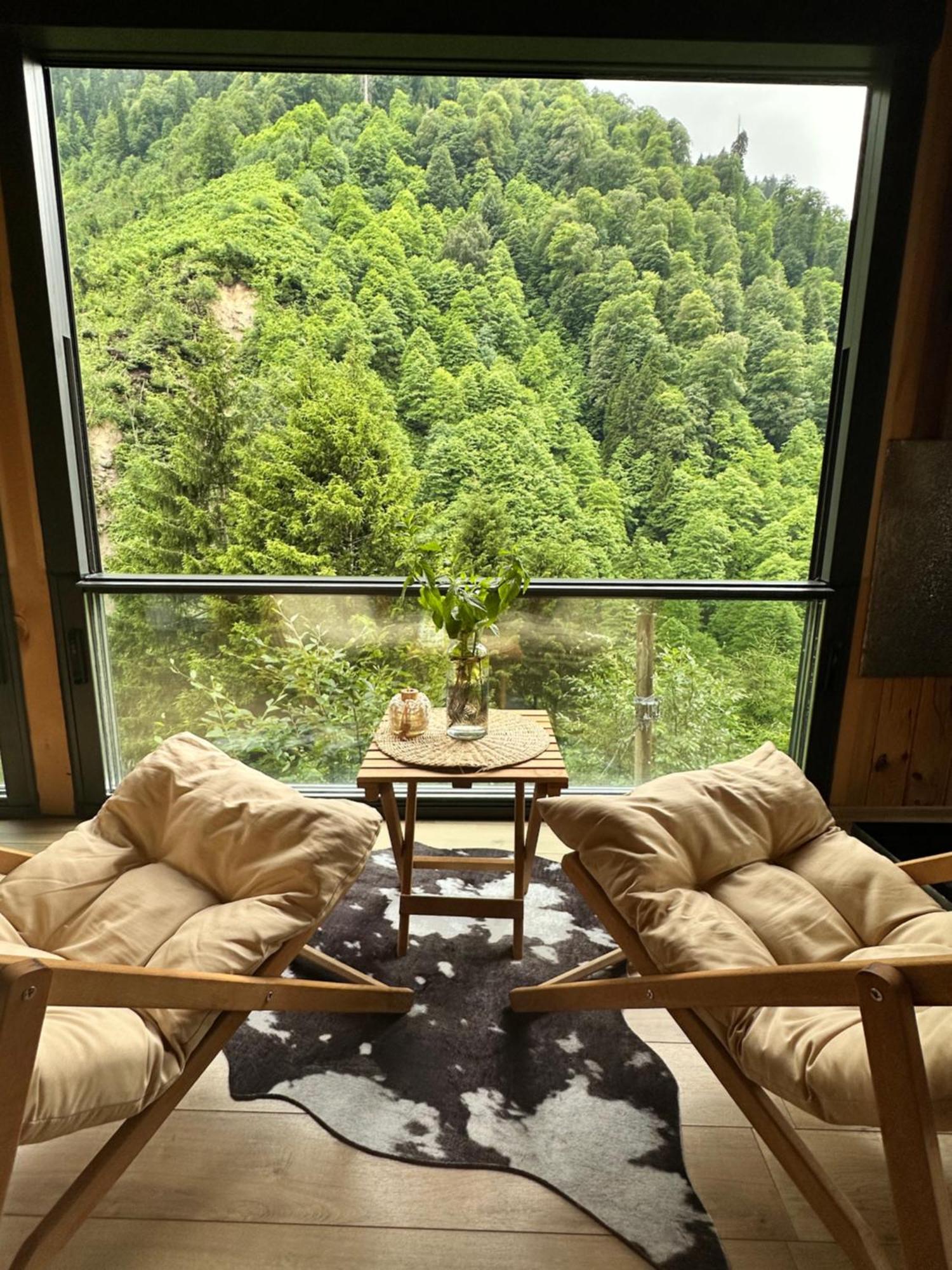 Ayder Villa Gencal Exteriér fotografie